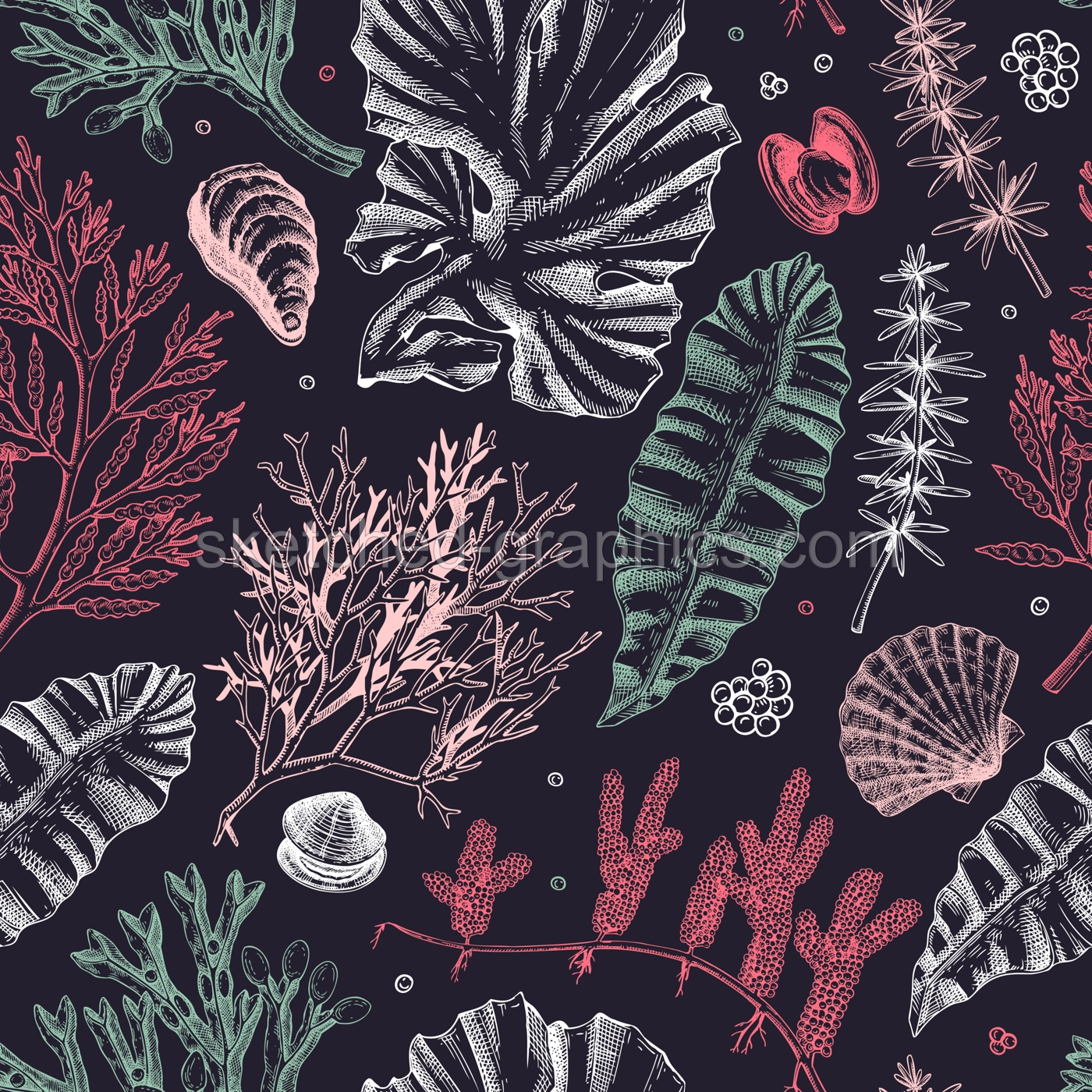 Sea life background. Edible seaweed seamless pattern. Hand-drawn kelp, kombu, wakame, hijiki, sea shells illustrations. Underwater plants and algae sketches. For print, menu design or wrapping paper Illustration